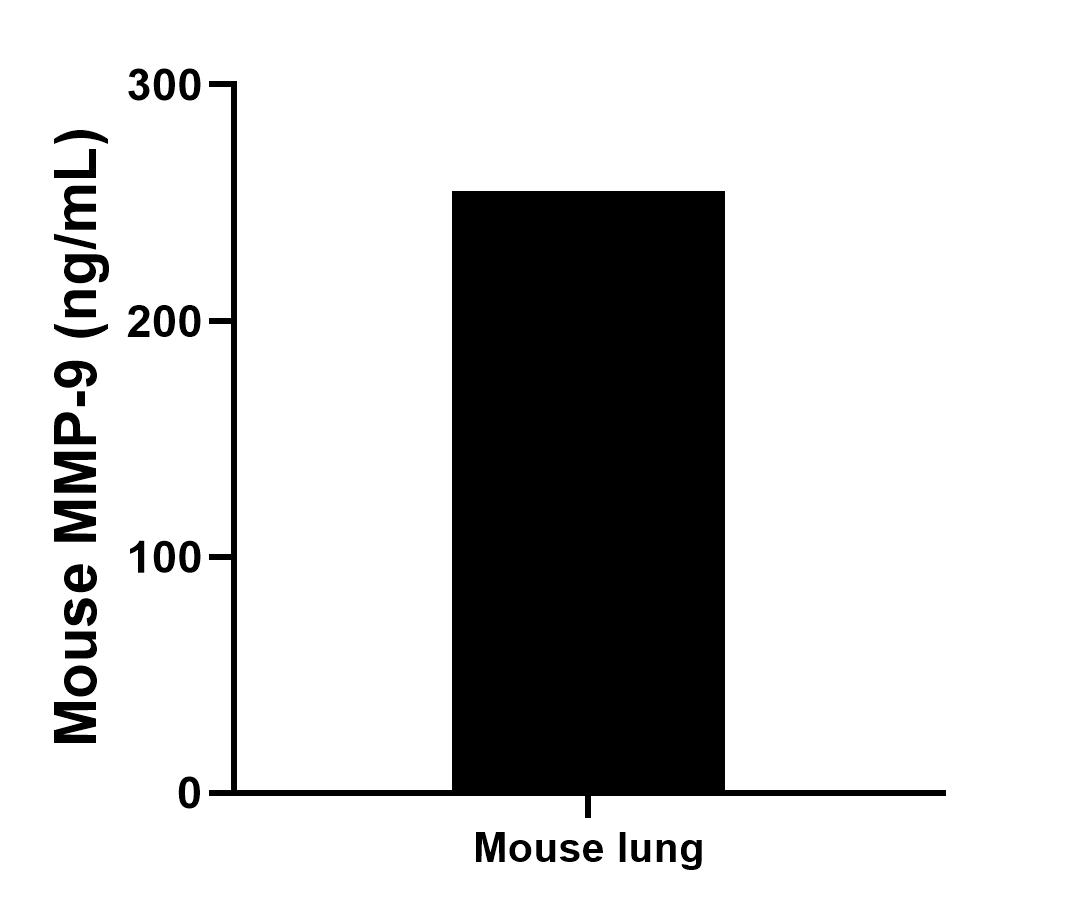 Mouse lung tissue (3 lungs in 1-2 mm pieces in 100 mL of medium) was cultured for 6 days in RPMI supplemented with 10% fetal bovine serum, 50 μM β-mercaptoethanol, 2 mM L-glutamine, 100 U/mL penicillin, and 100 μg/mL streptomycin sulfate. An aliquot of the cell culture supernatant was removed, assayed for mouse Total MMP-9, and measured 255.0 ng/mL.